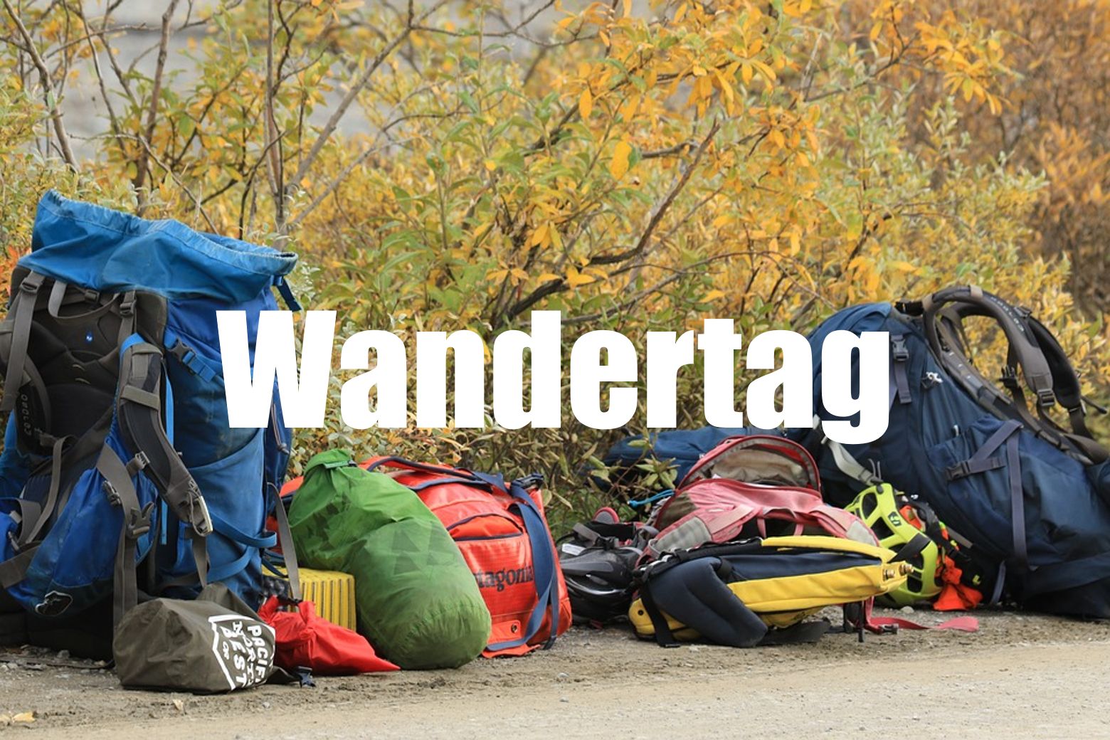 Wandertag Klasse 5-7 / Sporttag Klasse 8/9